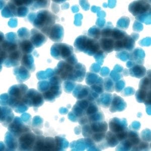Image 28 Adipose Derived Stem Cells 300x300 1